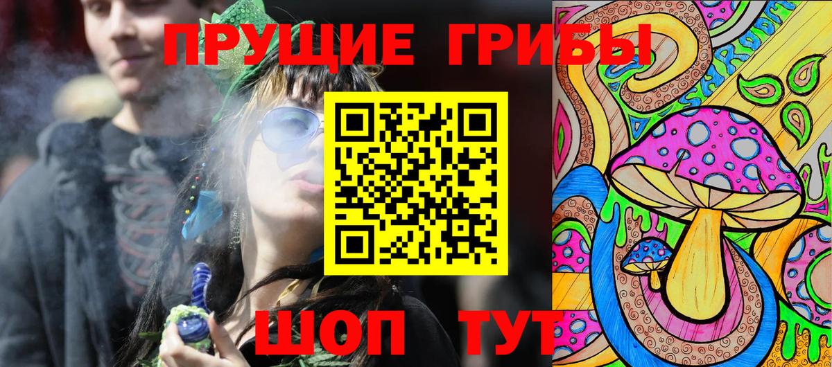 Галлюциногенные грибы Cubensis  наркотики  Каменск-Шахтинский  Вход с VPN 