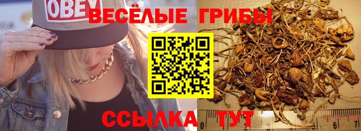 Псилоцибиновые грибы мухоморы Каменск-Шахтинский